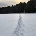 snowshoe tracks across Dyer Long Pond
