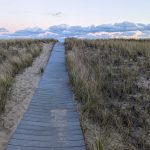 Walkway through dunes to beach