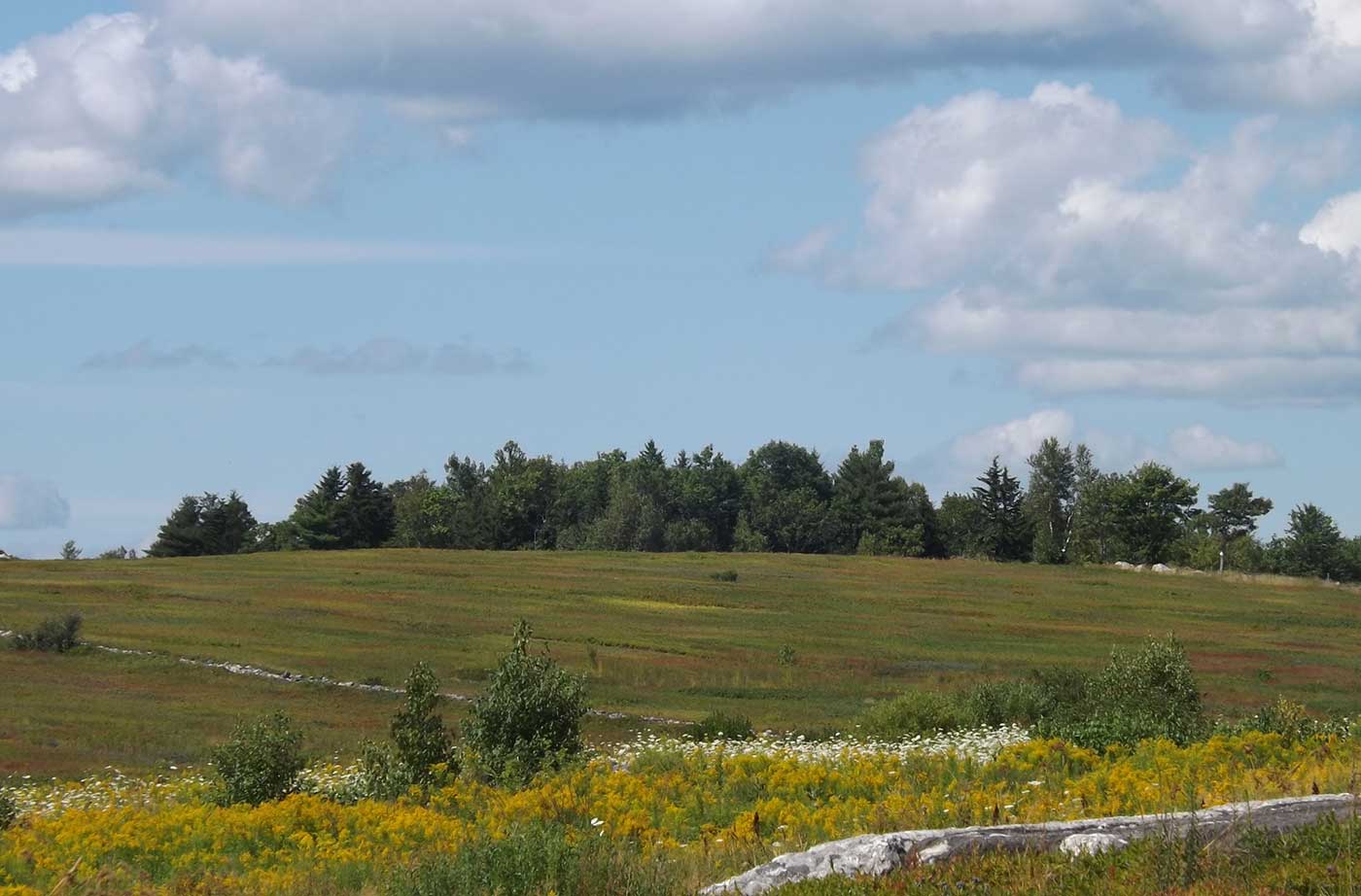 Appleton Ridge under blue sky