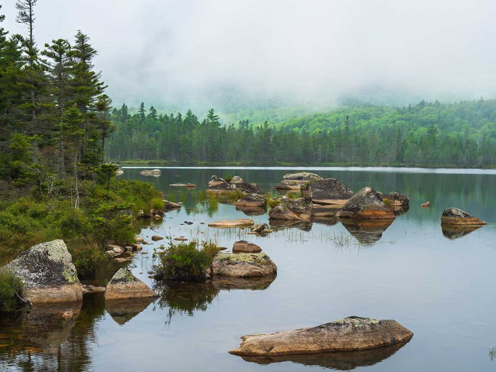 water, rocks, trees, and fog