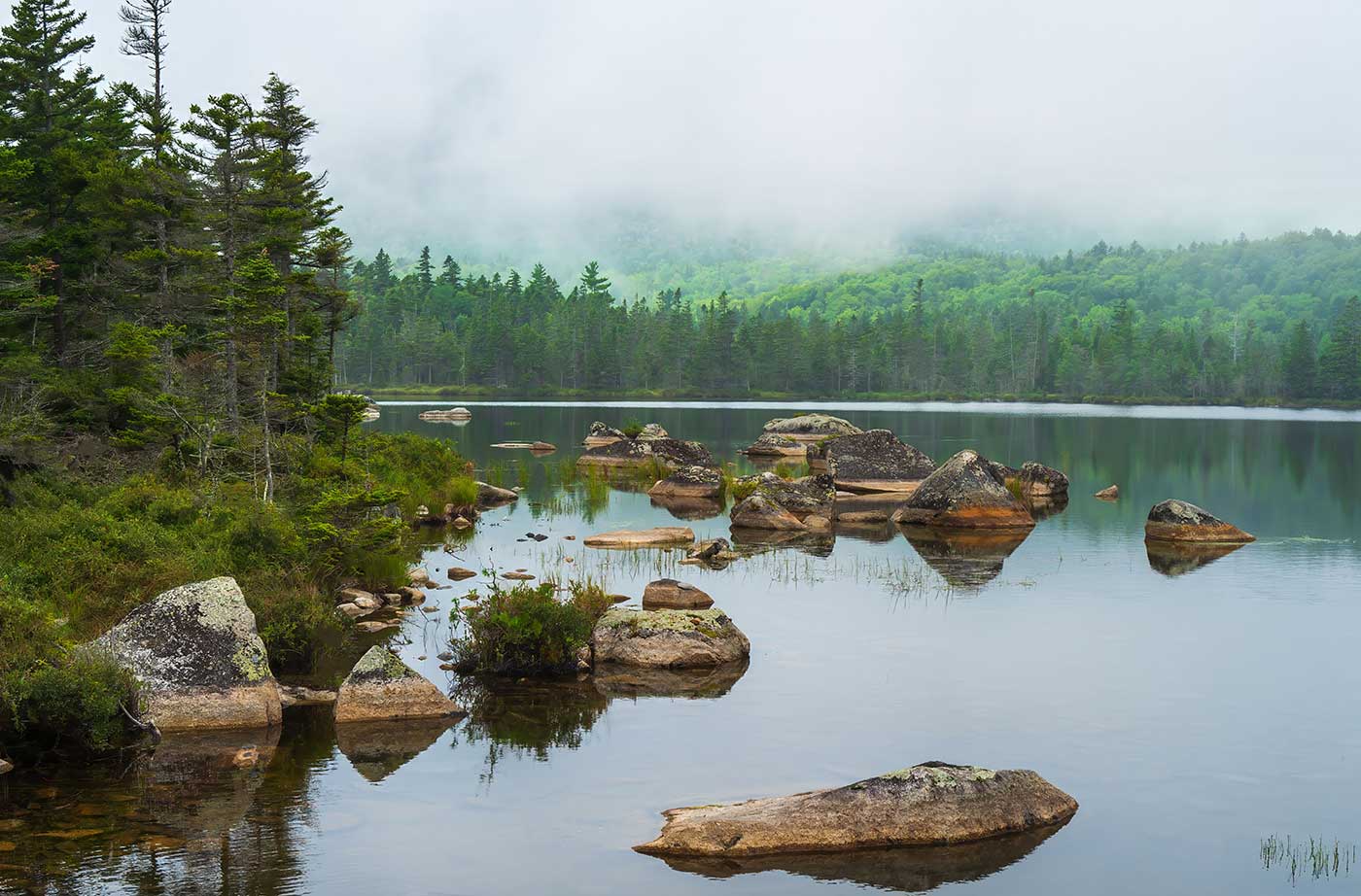 water, rocks, trees, and fog