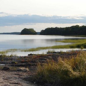 calm ocean water with grass around right edge of photo