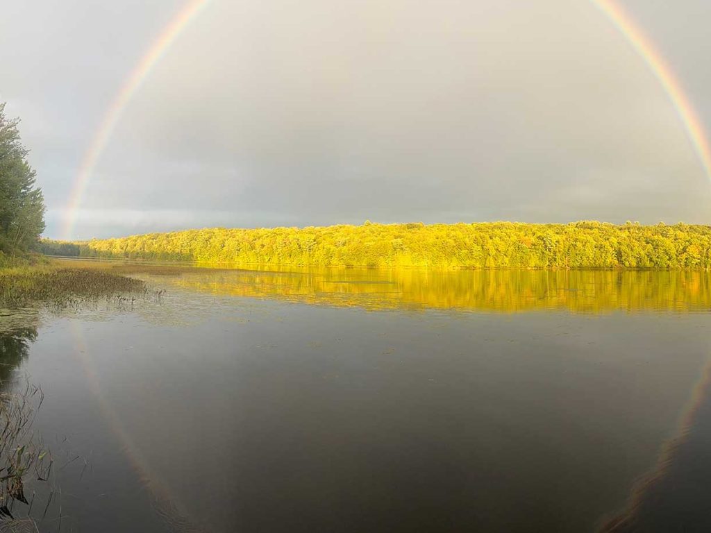 rainbow over brightly lit trees across a pond