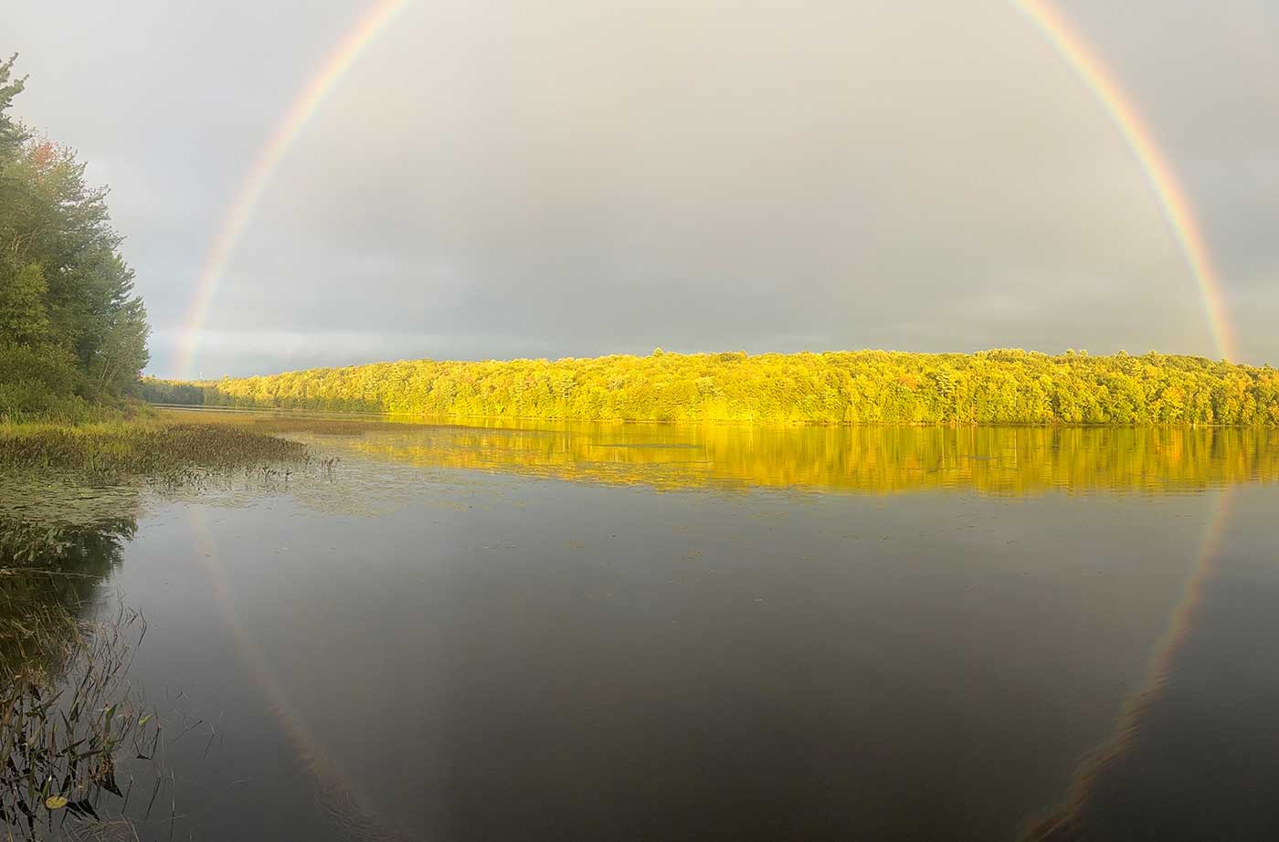 rainbow over brightly lit trees across a pond