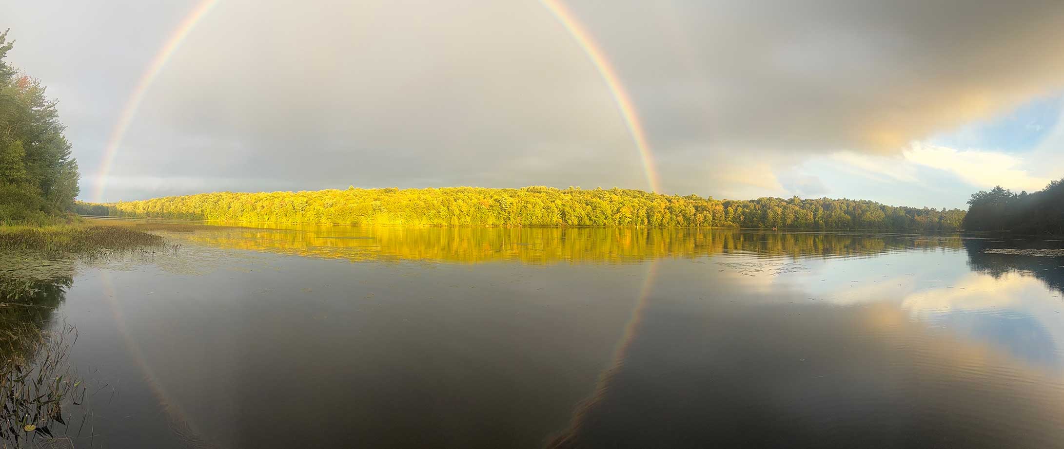 rainbow over brightly lit trees across a pond
