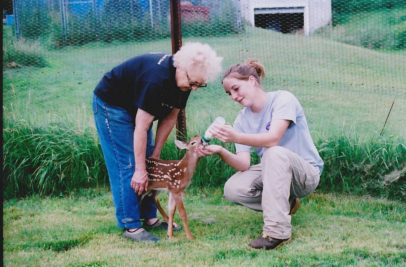 Carleen Cote and volunteer bottle feeding baby fawn