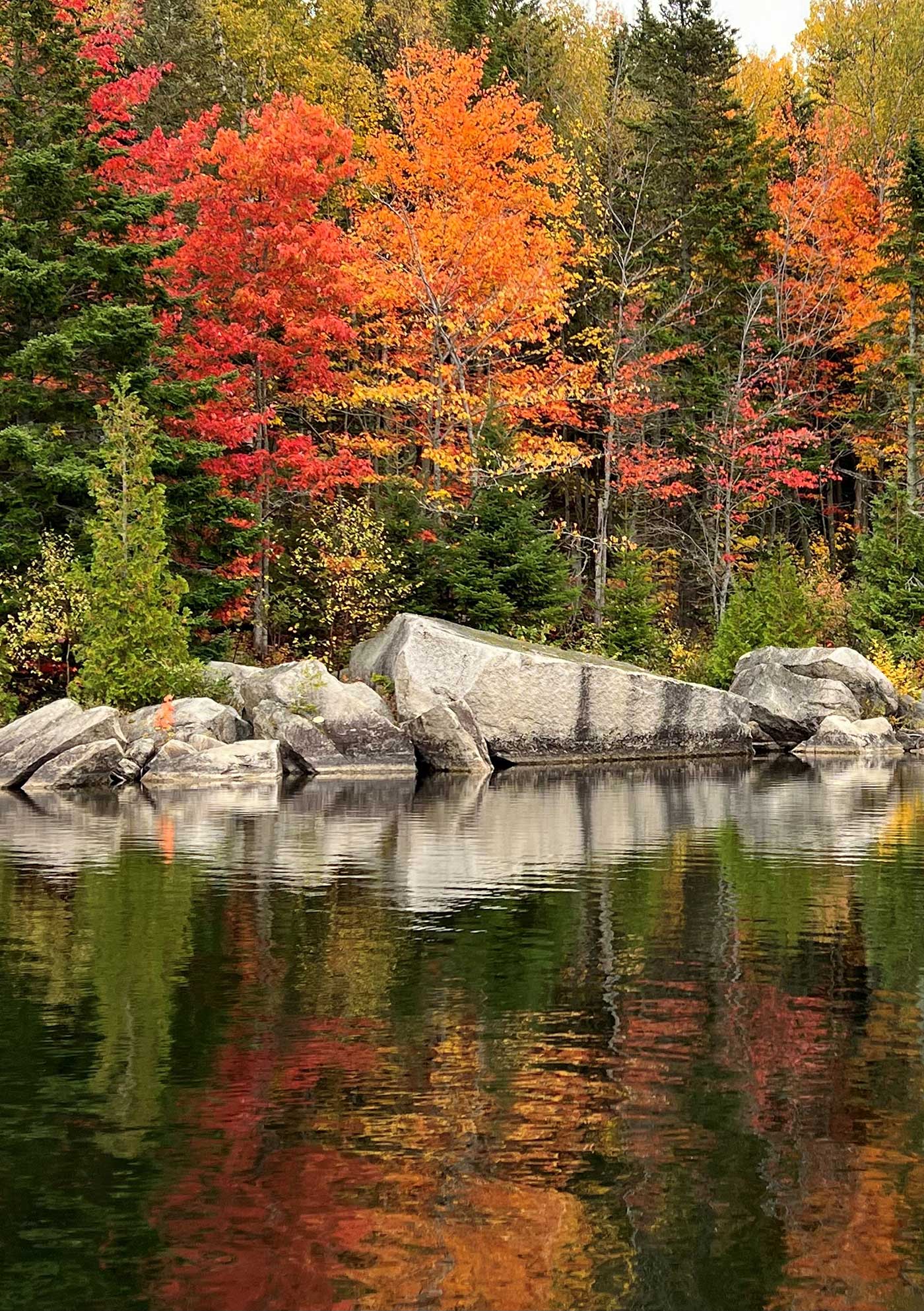 fall colors on trees on shore of lake