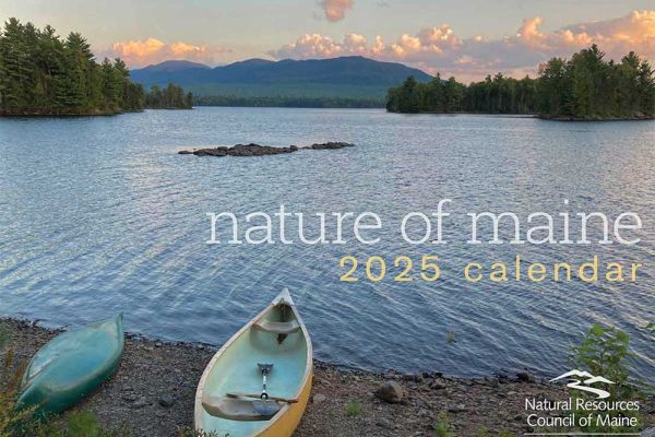 calendar cover - canoes on lakeside with mountains and clouds in background