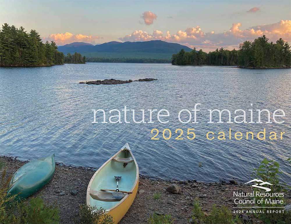 calendar cover - canoes on lakeside with mountains and clouds in background