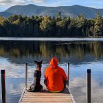 dog and person in hooded sweatshirt looking at mountain while sitting on wooden dock