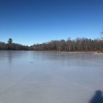 view of ice-covered bog with trees and bluebird sky