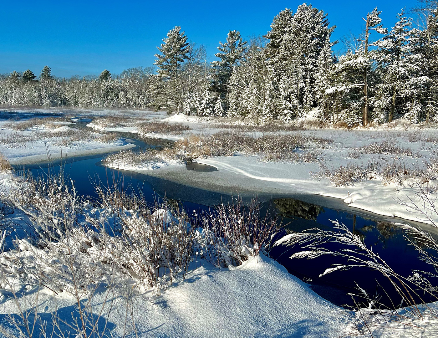 Snowy trees and meandering river