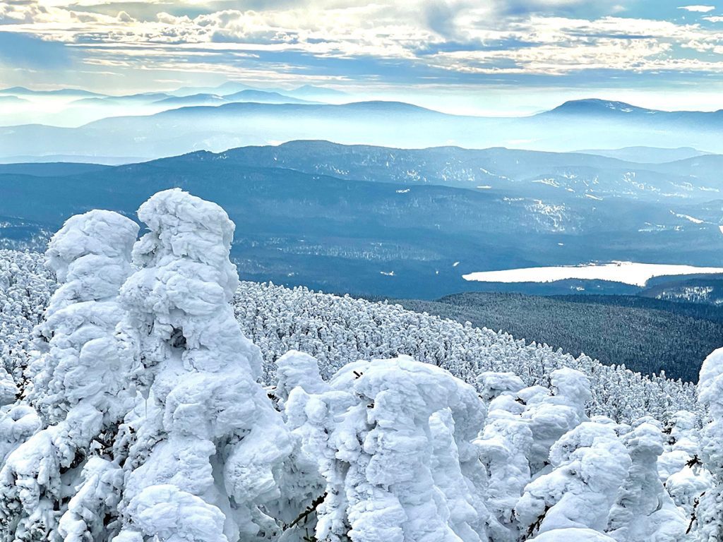 view from top of mountain with snowy trees in foreground