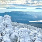 view from top of mountain with snowy trees in foreground