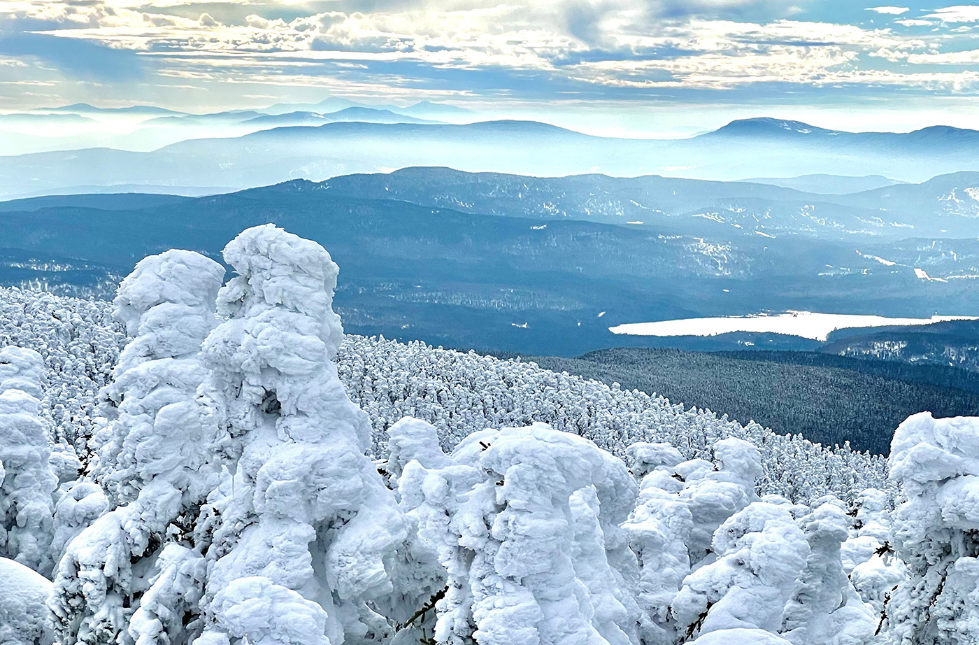 view from top of mountain with snowy trees in foreground