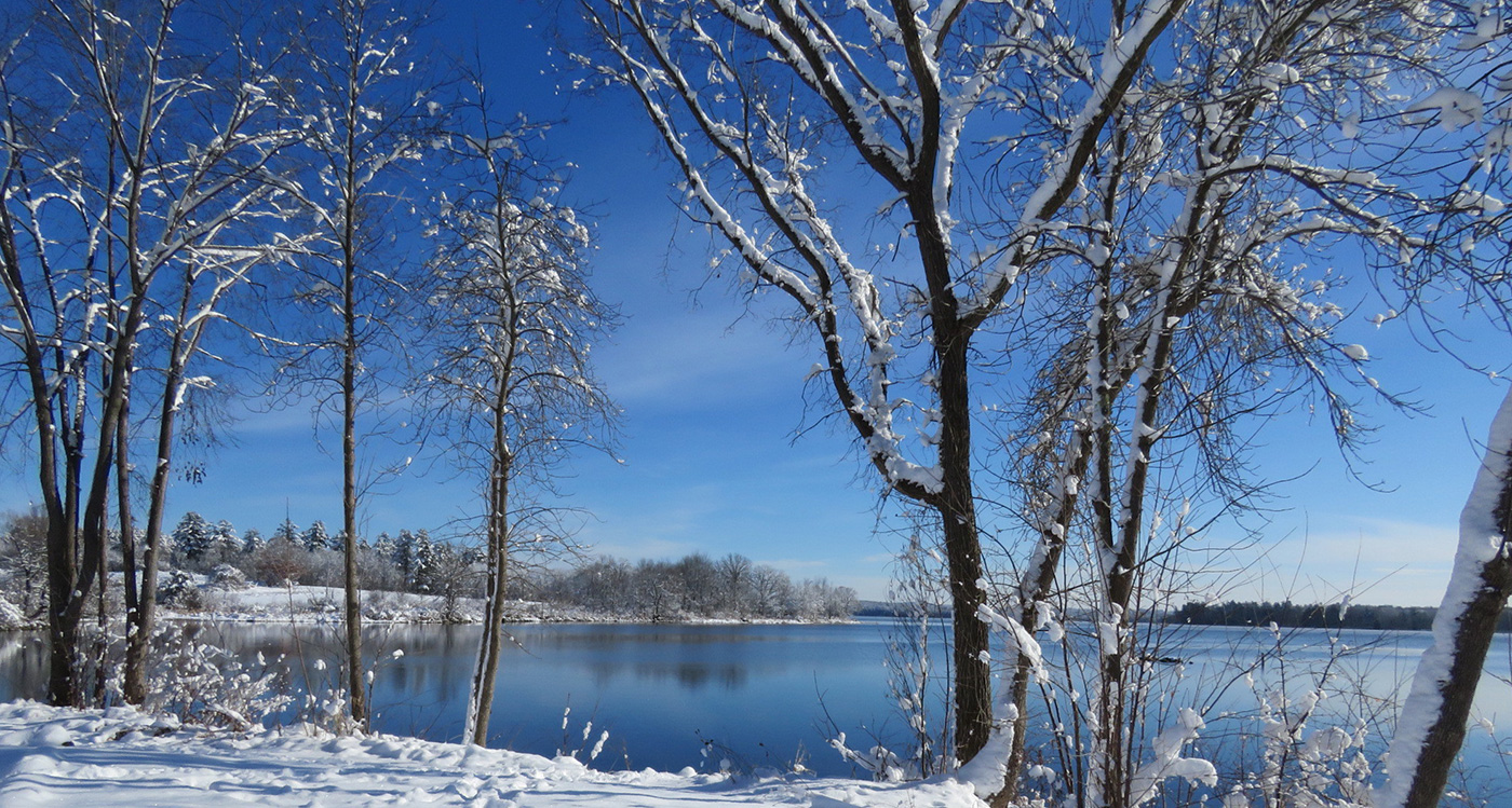 Snow covered trees in foreground with bright blue lake behind them