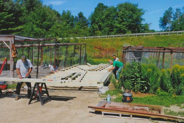 people working outside on new duck house wooden platform