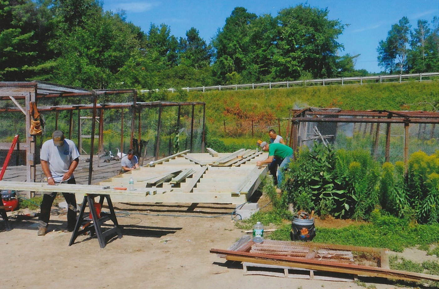 people working outside on new duck house wooden platform