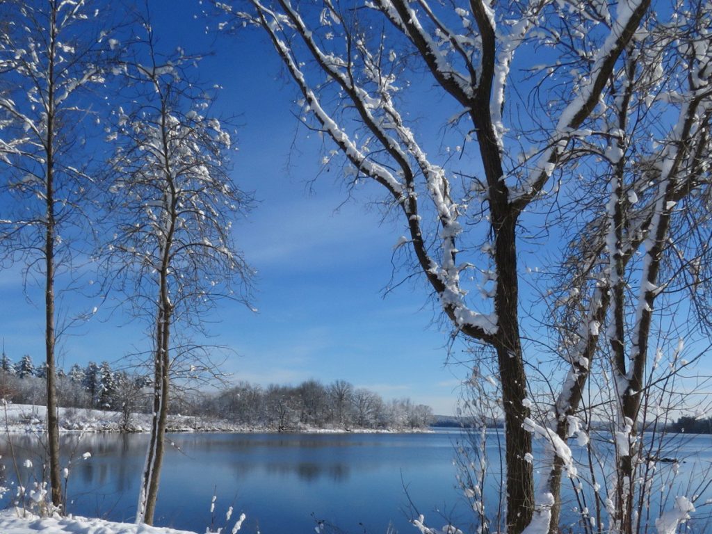 Snow covered trees in foreground with bright blue lake behind them