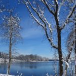 Snow covered trees in foreground with bright blue lake behind them