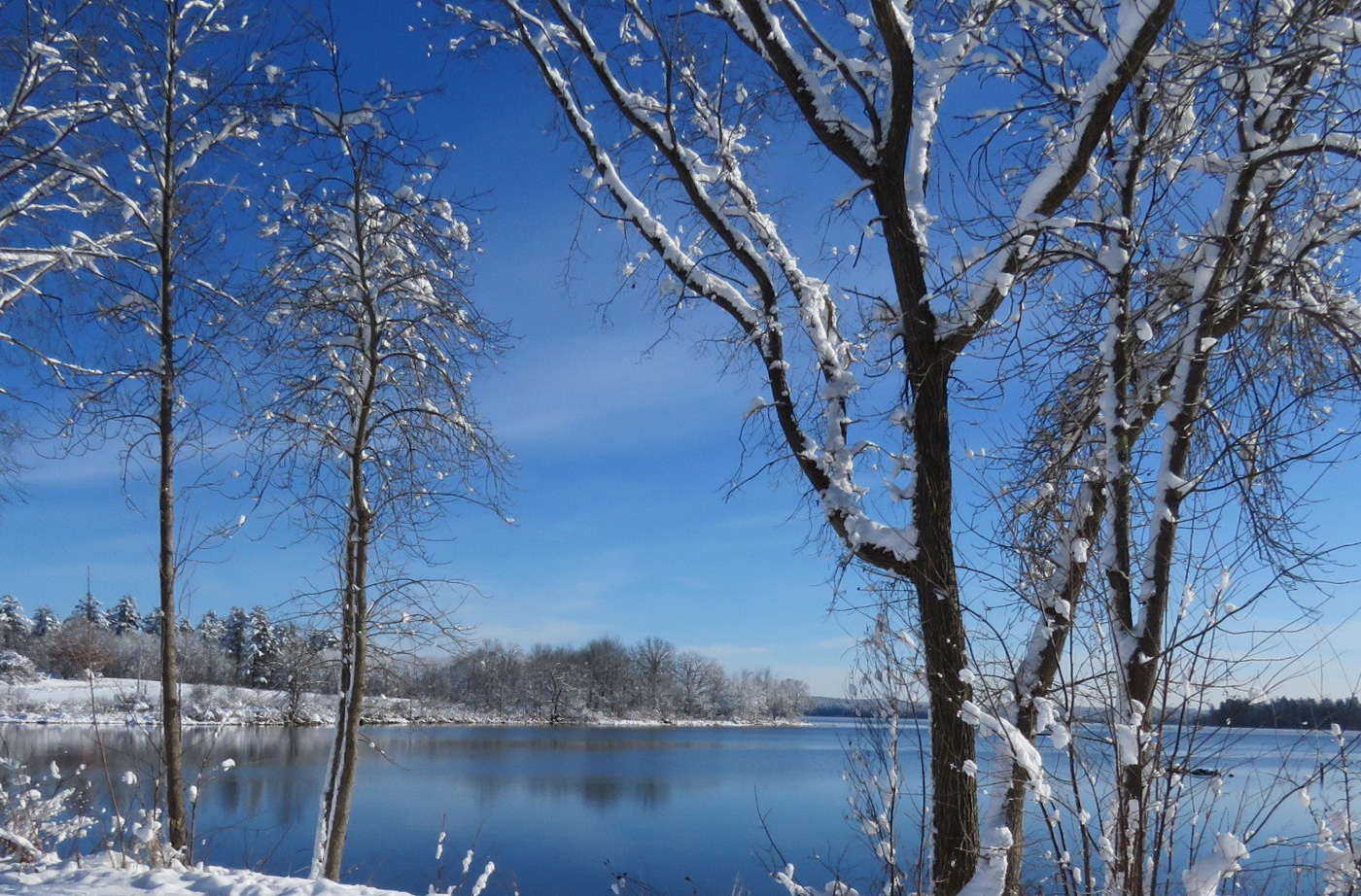 Snow covered trees in foreground with bright blue lake behind them